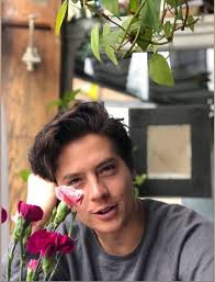 Cole began his acting career alongside his identical twin brother at the tender age of six months. Cole Sprouse Home Facebook