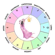 Saturn In Libra Learn Astrology Guide To Your Natal Chart