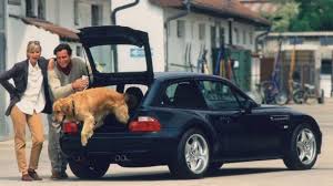 Pawsome Performance Great Bmws For Dog