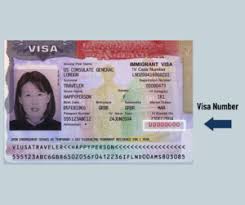 find your visa number on your u s visa