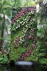 Botanical Garden Show Has Orchids