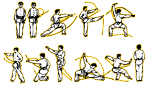 Online Course - Wushu Shaolin Entertainment