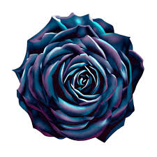 3d t black rose in blue light