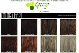 Envy Wig Collection Color Charts