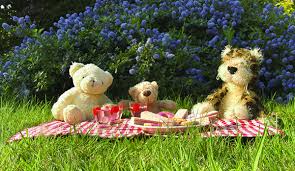 the teddy bears picnic returns to the