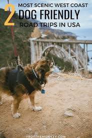 two most scenic dog friendly road trips