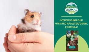 Updated Hamster Gerbil Formula From