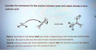 Carbon Dioxide To Form Carbonic Acid
