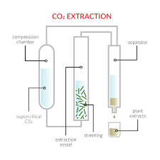 How does one make cbd extracts without using a solvent? Cbd Extraction Methods Powerblanket Process Heating Solutions