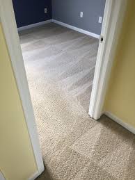professional carpet cleaning image
