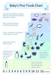 Detailed Information On Baby Food Infographic Babys First Foods