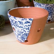 Buy Orchid Planter With Blue And White