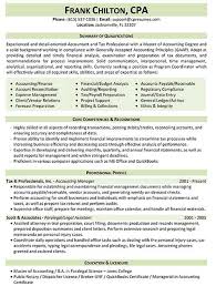 Resume Sample for an IT Professional   Susan Ireland Resumes CV template Monaco