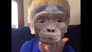 Image result for Fukuchan Monkey in wig, mask, works Restaurant!