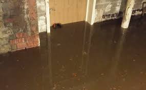 Flooded Apartments Insurance Claim