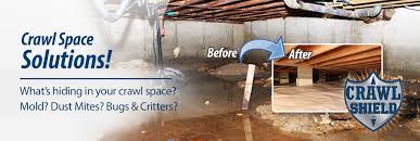 Basement Waterproofing