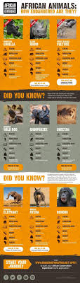 Keep reading and find out just how fascinating africa's wildlife. African Animals How Endangered Are They Infographic African Conservation Experience