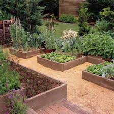 Grow A Vegetable Garden In Raised Beds