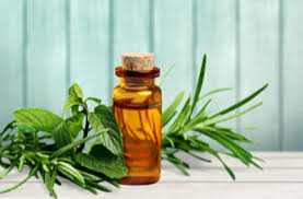 tea tree oil benefits precautions