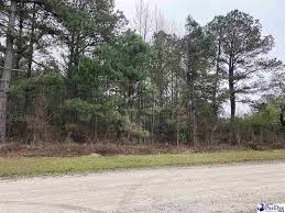 dillon sc mobile homes with