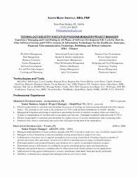 Sample Resume Information Technology Project Manager Valid Project