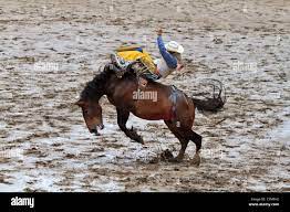 Bareback riding event hi-res stock photography and images - Alamy