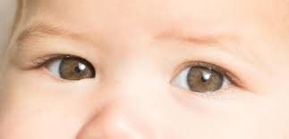 Resultado de imagen para ojos de bebe
