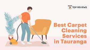 the 5 best carpet cleaning services in