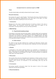 Report Example  Evaluation Technical Report Example     Technical    