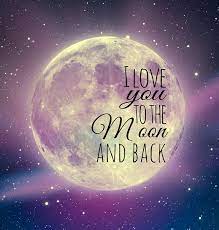 The Moon And Back Canvas Art 30x30