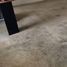 carpet cleaning judy s carpet cleaning