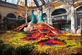 how the bellagio makes its beautiful