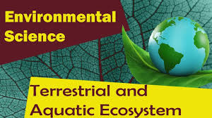 Terrestrial And Aquatic Ecosystem Environmental Science