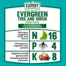 Shrub Plant Food 16 4 8 Fertilizer