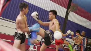 muay thai boxers sparring free stock