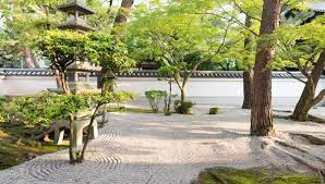 How To Make A Zen Garden Forbes Advisor
