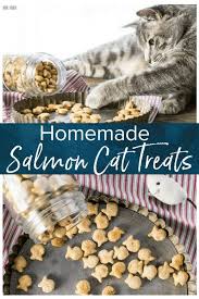 If not, then stay with us and we'll discuss some of the common causes. Homemade Cat Treats Recipe 3 Ingredient Salmon Cat Treats