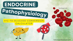 a1c to glucose conversion calculator