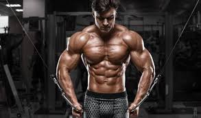 hypertrophy and strength
