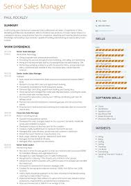 Speaking of sales resumes, you can also check out our best sales resume samples and templates. Senior Sales Manager Resume Samples And Templates Visualcv