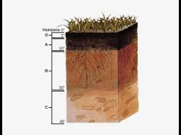 add gypsum to clay soils part 3 of how