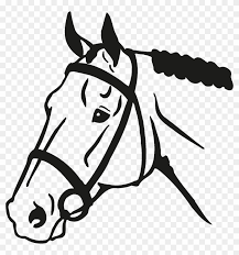 12 horse head black and white vectors