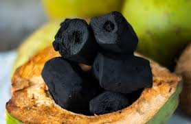 Ecobriqs Coconut Charcoal Briquettes