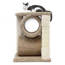 small carpet cat tree for big kitties
