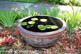 Simple And Easy Water Gardening In A