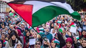 Flag combining elements from the israeli and palestinian flag, carried in protest rally against basic law: Morocco S Balancing Act On Israel And Palestine Al Monitor The Pulse Of The Middle East