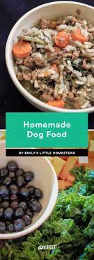 homemade dog food 6 recipes delicious