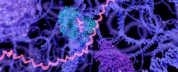 What Is The RNA World Hypothesis?