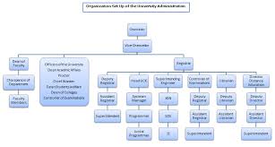 Organization Chart Guru Jambheshwar University Of Science