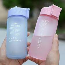 Portable Glass Water Bottle With Straw
